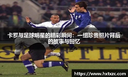 3003新葡的京集团