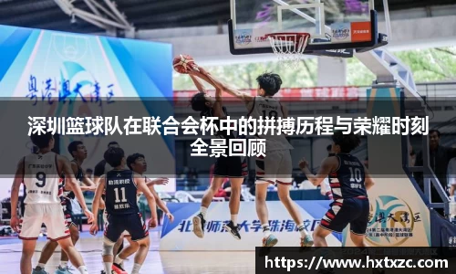 3003新葡的京集团网址